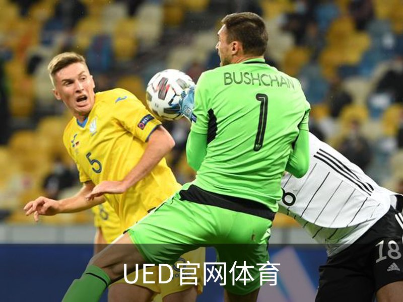 UED官网体育概况